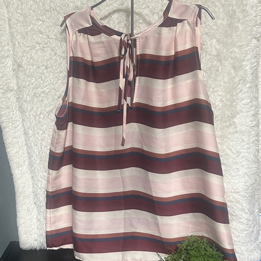 Banana Republic Pink and Brown Striped Top